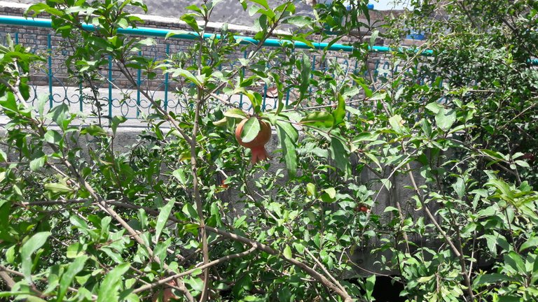 20180621_115319.jpg