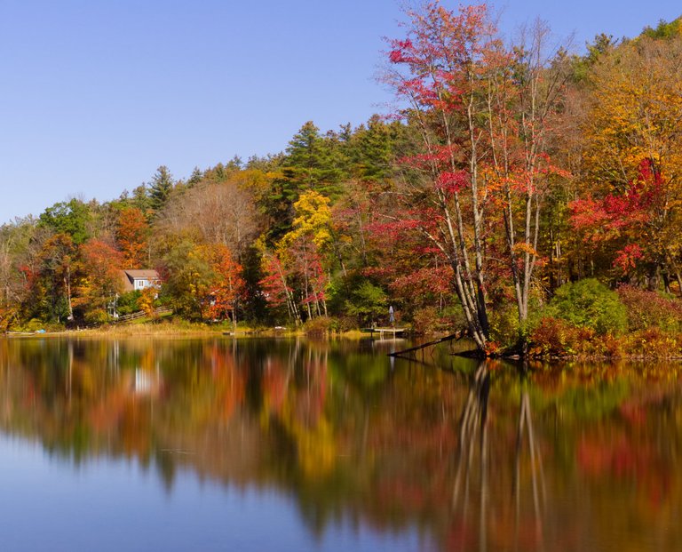 jessicaoutside.com-PA120246-autumn-colours-by-the-lake-vermont.jpg