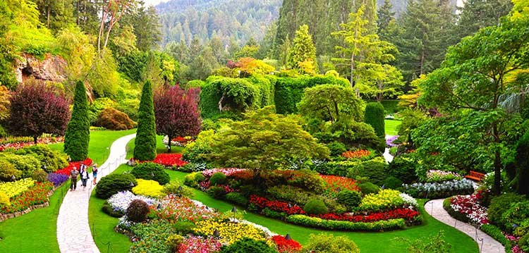 Butchart-Gardens.jpg