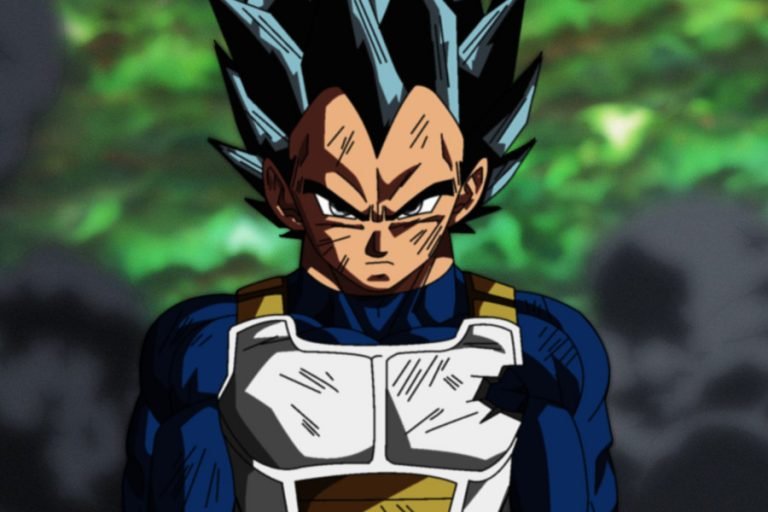 vegeta-768x512.jpg