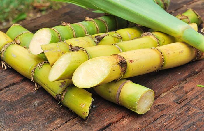 How-To-Select-And-Store-Sugarcane.jpg