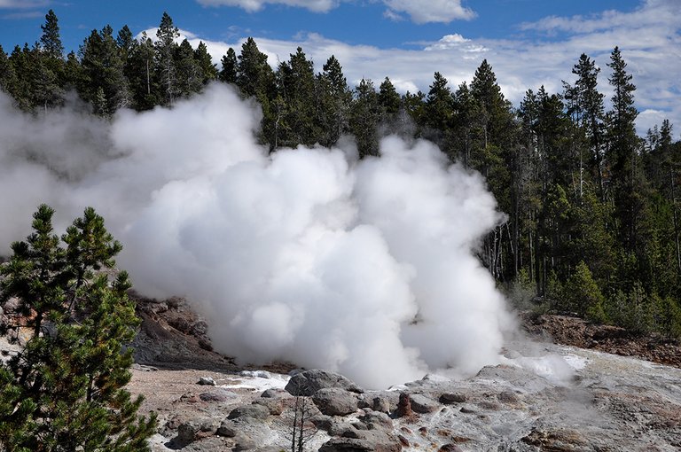 YSgeysers00c.jpg