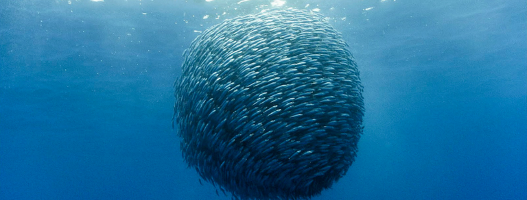 Untitled design (3).png