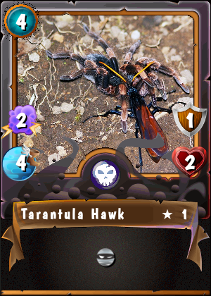 Tarantual Hawk.png