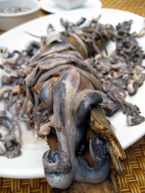 Tamilok-by-Erwin-Oliva-via-Flickr.jpg