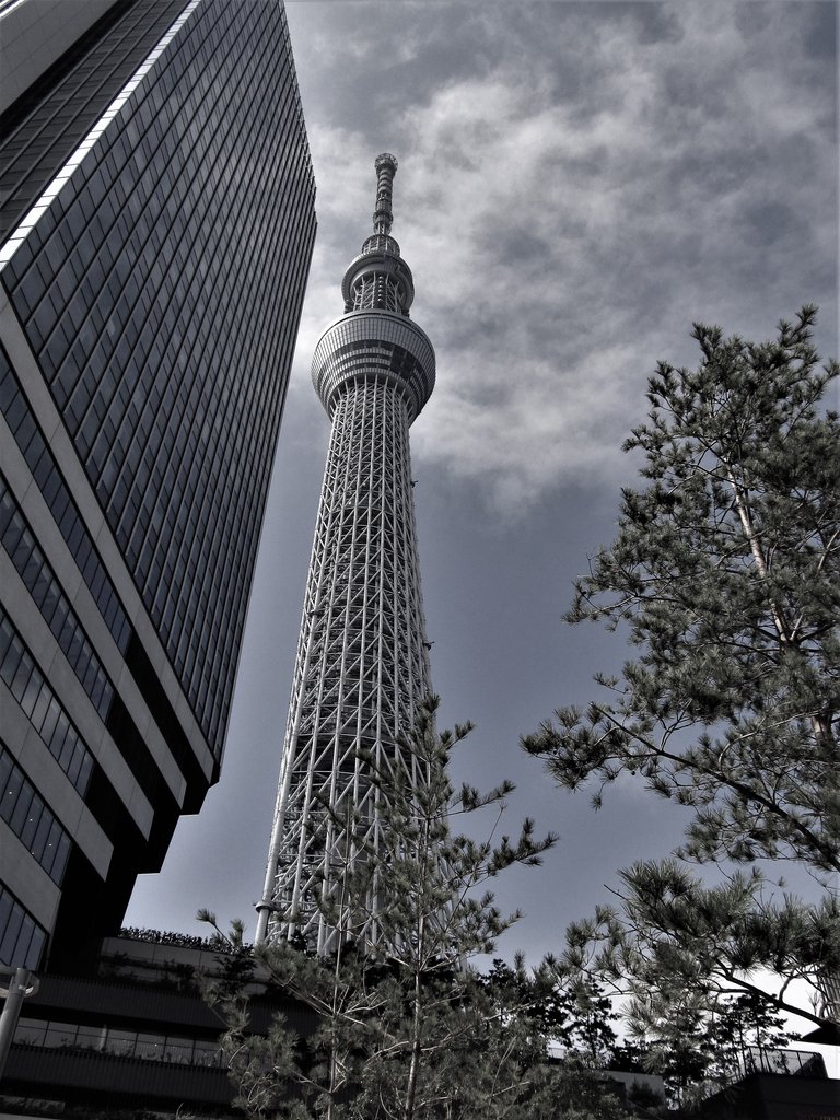 064 Skytree and around.jpg