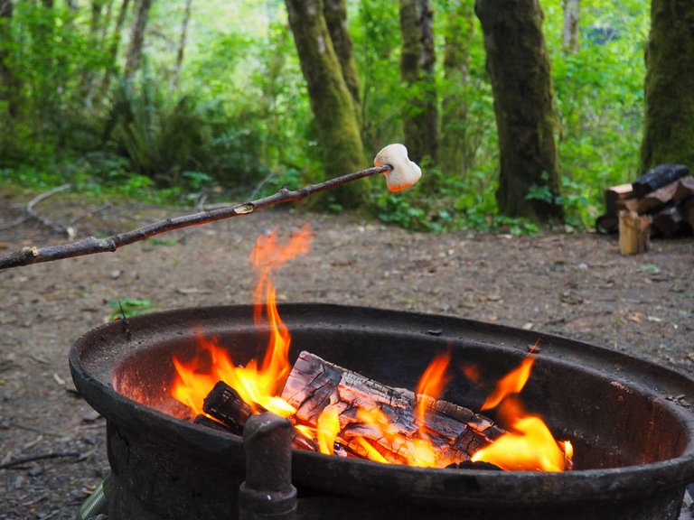 P4282379-vancouver-island-roasting-marshmallow-campfire-1200.jpg