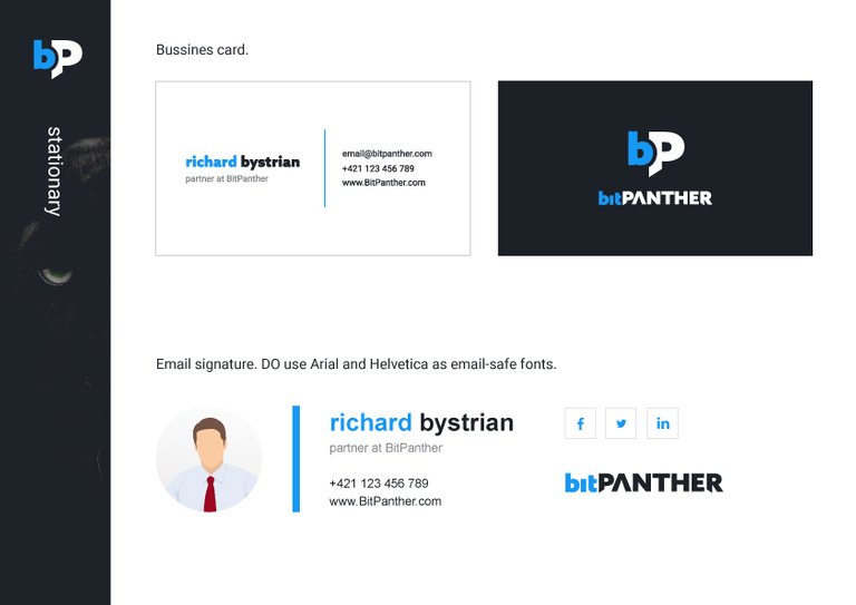 BitPanther-logo-design-manual-08.jpg