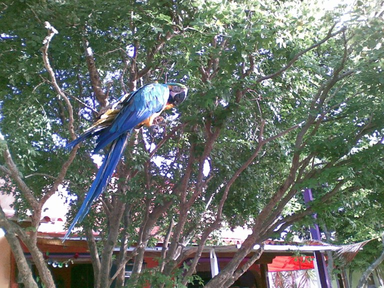 040920101445.jpg