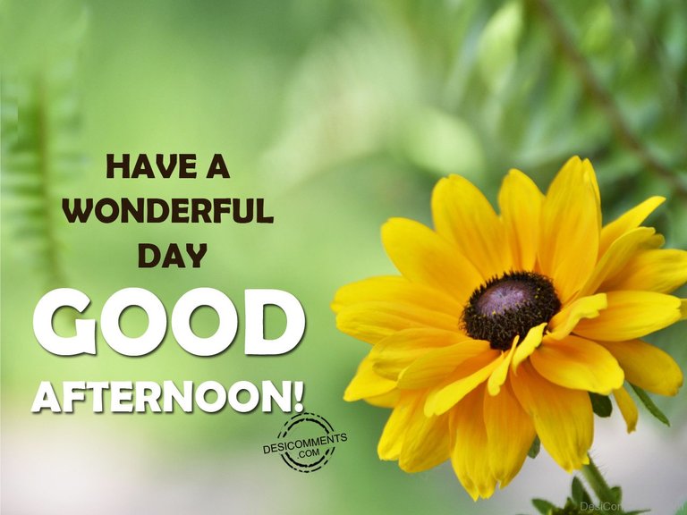 Have-A-Wonderful-Day-Good-Afternoon-012.jpg