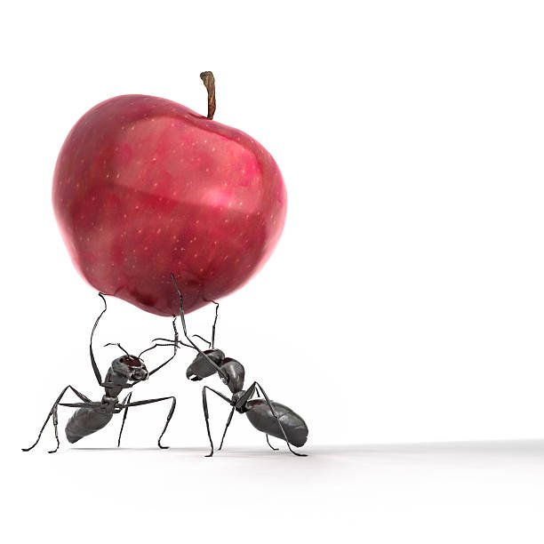 ants-carrying-an-apple-picture-id157335744.jpg