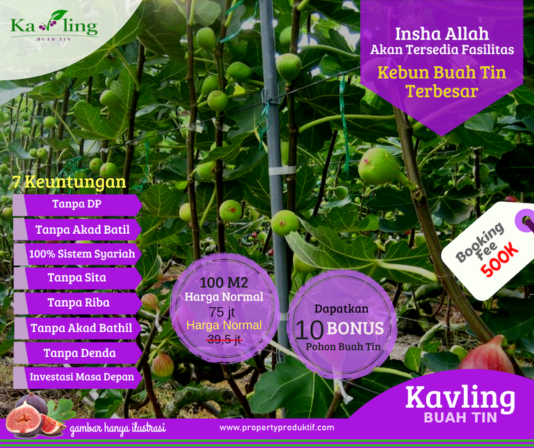 kavling-buah-tin-fasilitas-kawasan (1).png