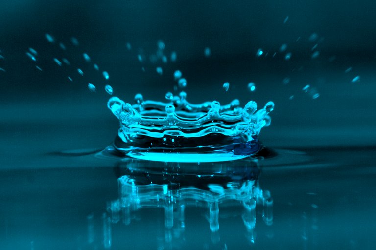 A_water_droplet_splash.jpg