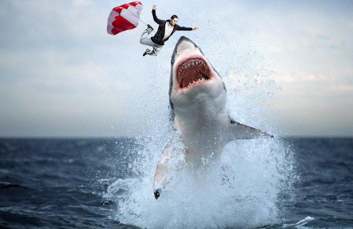 Shark-attack-696x451 copy.jpg