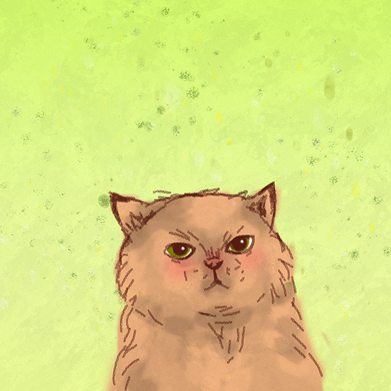 angry cat.png