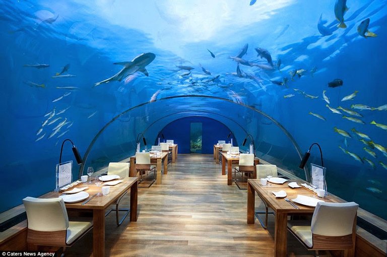 The-“Most-Beautiful-Restaurant-In-The-World”-Is-Downright-Mind-Blowing-5.jpg