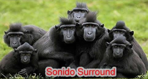 sonido surround.jpg