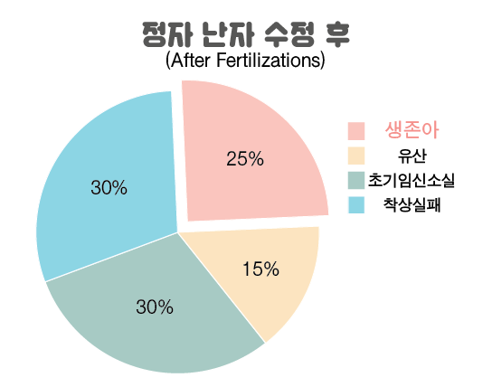 임신7주차-03.png