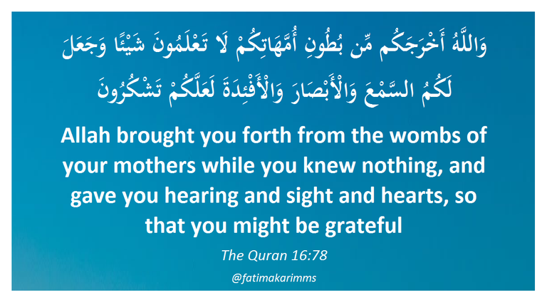 Allah brought you forth from the wombs of your mothers while you knew nothing, and gave you hearing and sight and hearts, so that you might be grateful credit @fatimakarimms.png