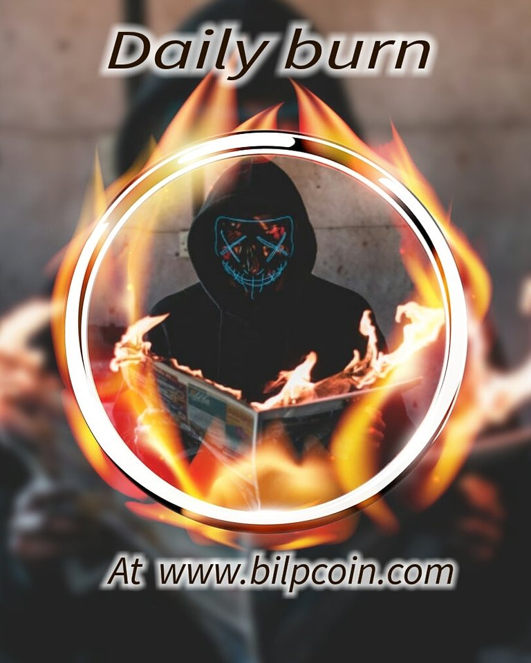 bilpcoin daily burn