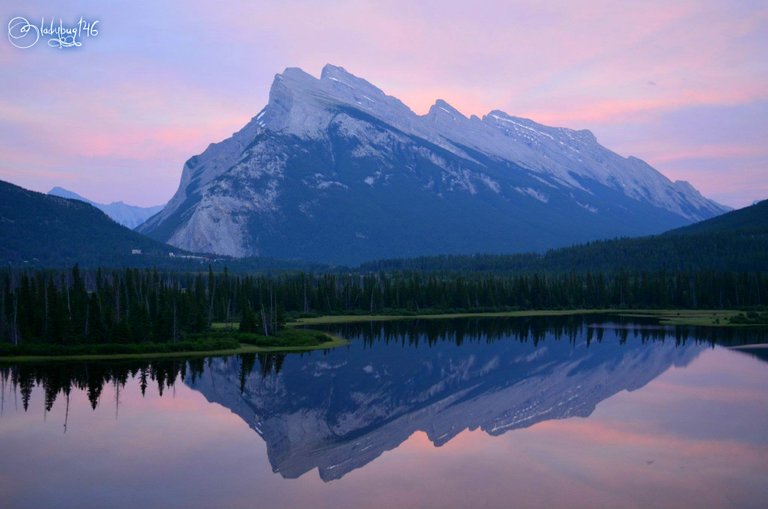 mount rundle.jpg