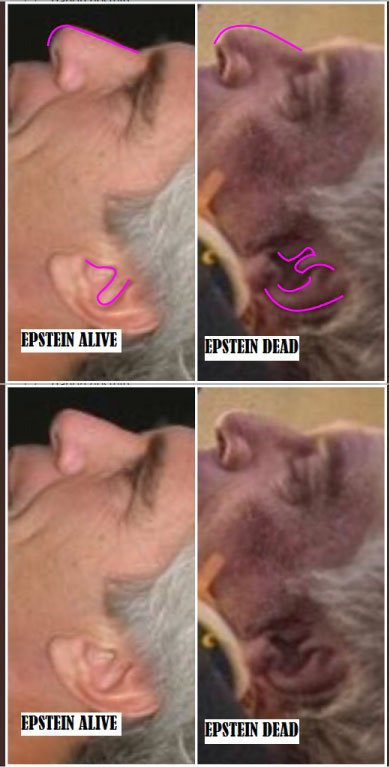 Epstein-Alive-vs-Dead.jpg