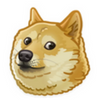 doge.png