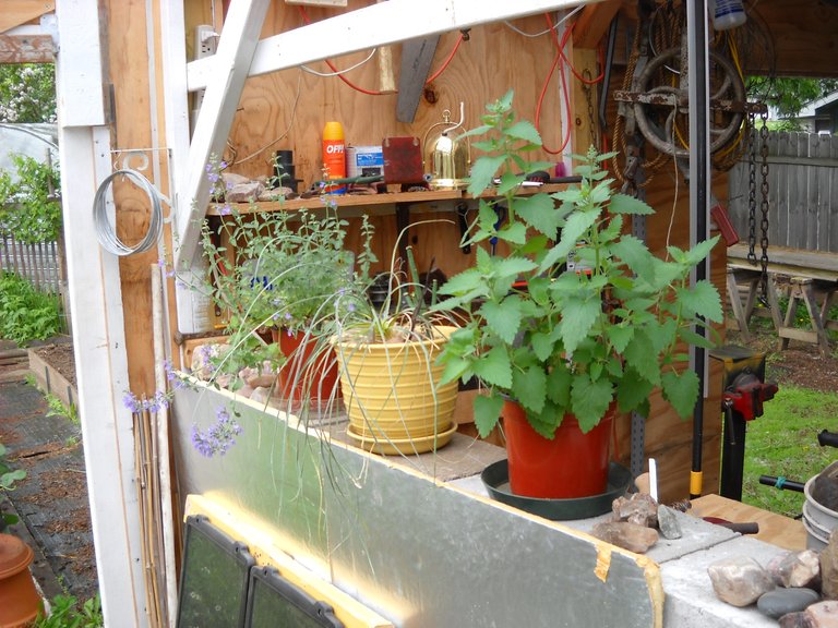 DSCN1222.JPG