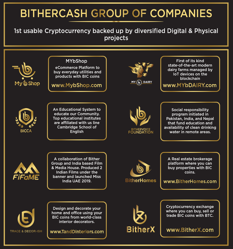 bithergroup companies.png