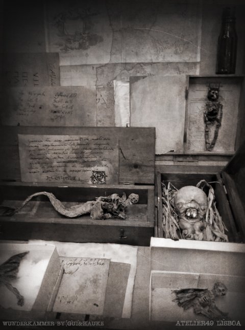 wunderkammer box1.jpg