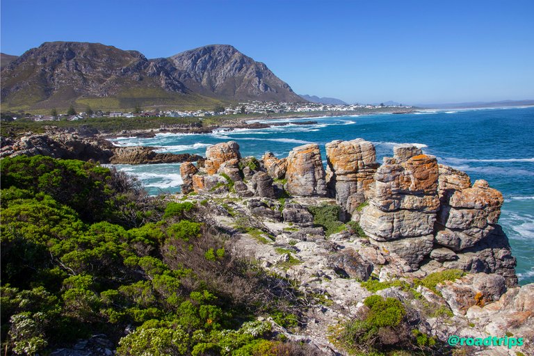 Cliff-path-at-Hermanus6.jpg