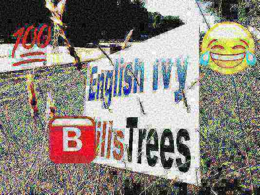 Deep Fried English Ivy