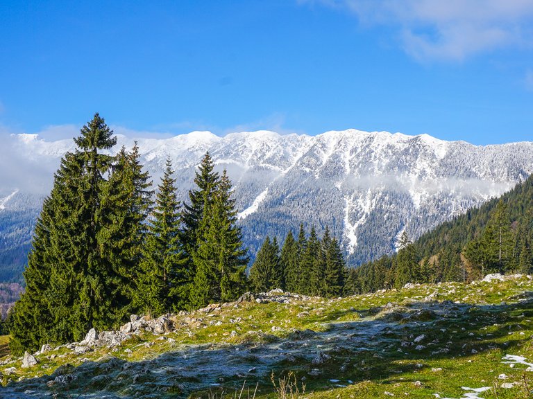 Romania-Carpathians.jpg