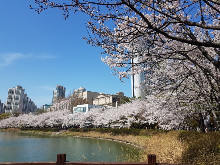 KakaoTalk_20190408_142900072.jpg