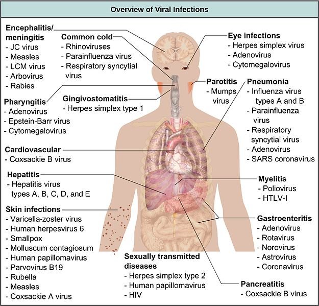 Figure_21_03_01.jpg
