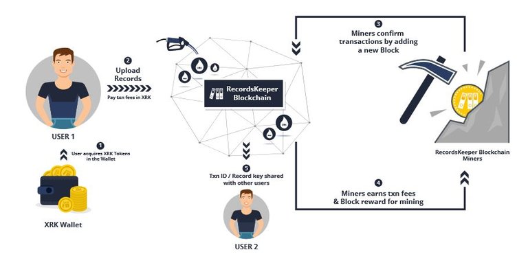 cr recordskeeper ecosystem.JPG