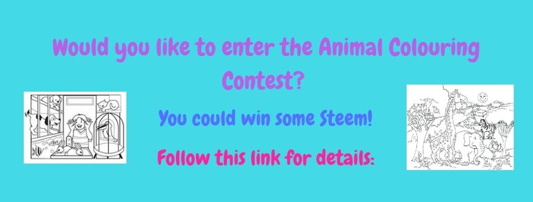 The Animal Colouring Contest header.jpg