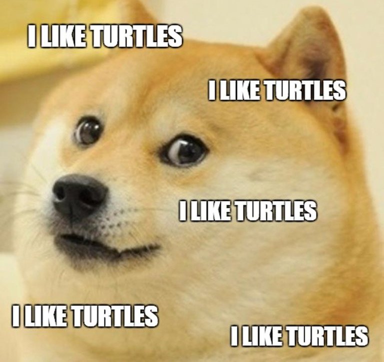 dogecoin turtlecoin faucet.jpg