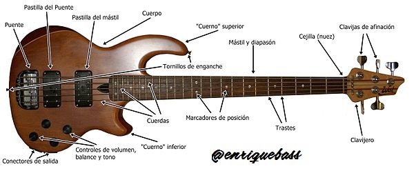 enriquebass estructura.jpg