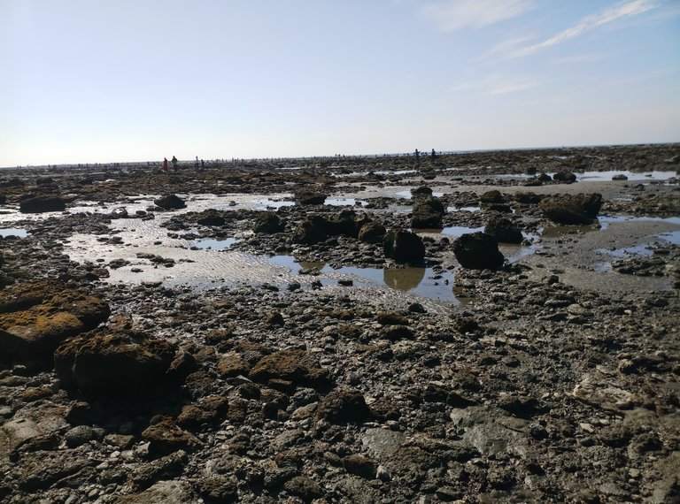 20191226_091138.jpg