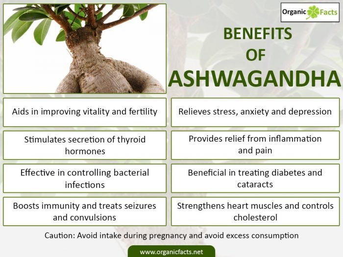 ashwagandha2.jpg