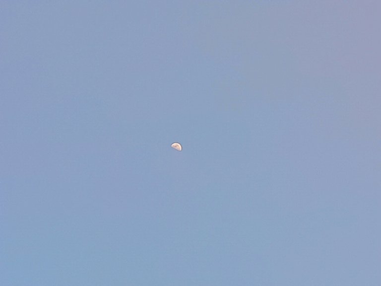 20230129_170927.jpg