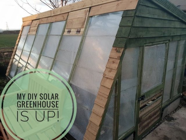 solargreenhouse.jpeg