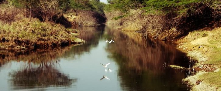 soor_sarovar_header.jpg