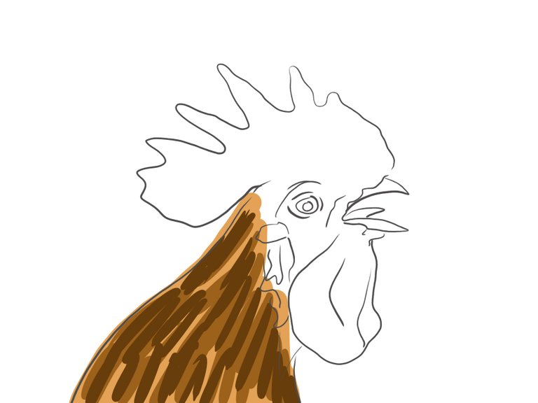 rooster(697).jpg