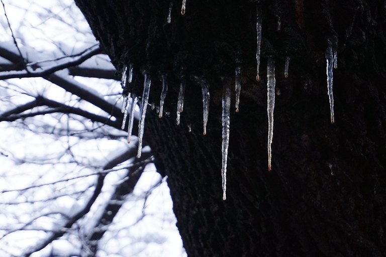 Bloody_Icicles_01_s.jpg
