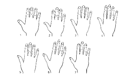 hands.png