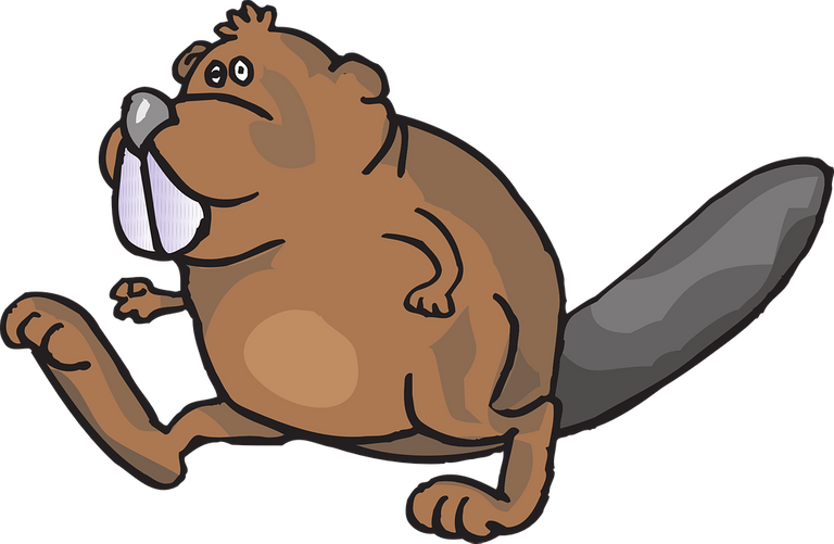 beaver-46222_960_720.png