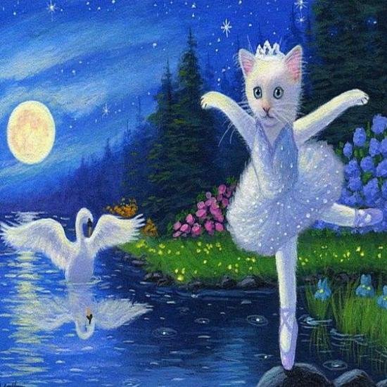 cat ballet swan moonBlessings111.jpg