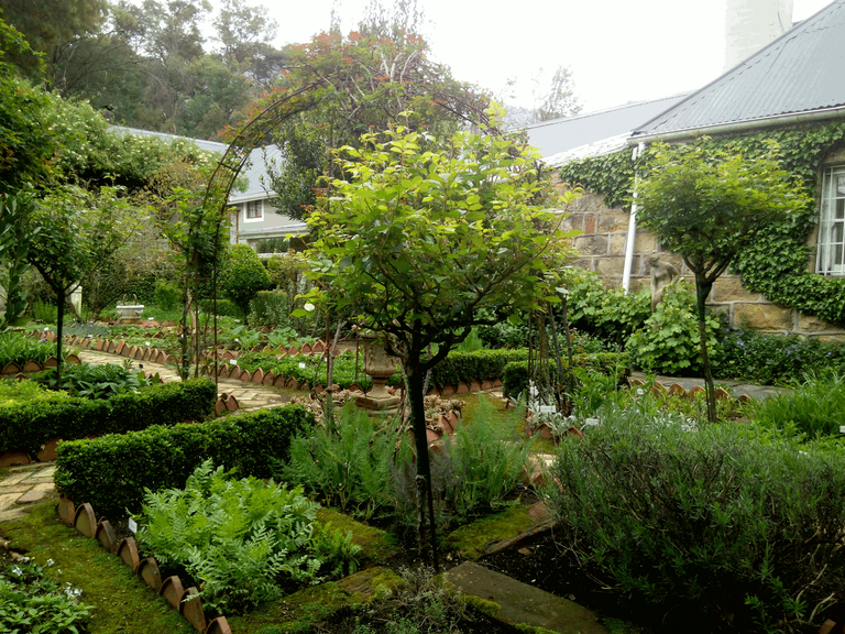 HerbGardenTrees.png